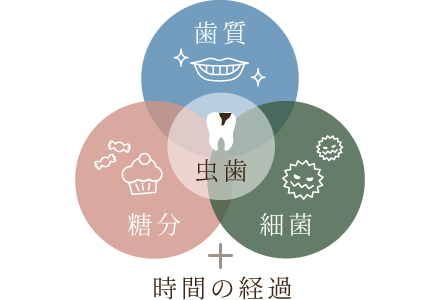 歯質/糖分/細菌+時間の経過